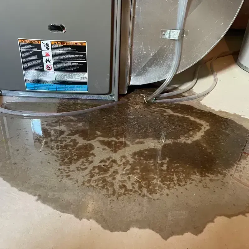 Appliance Leak Cleanup in Chillicothe, MO